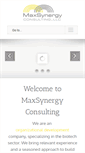 Mobile Screenshot of maxsynergyconsulting.com